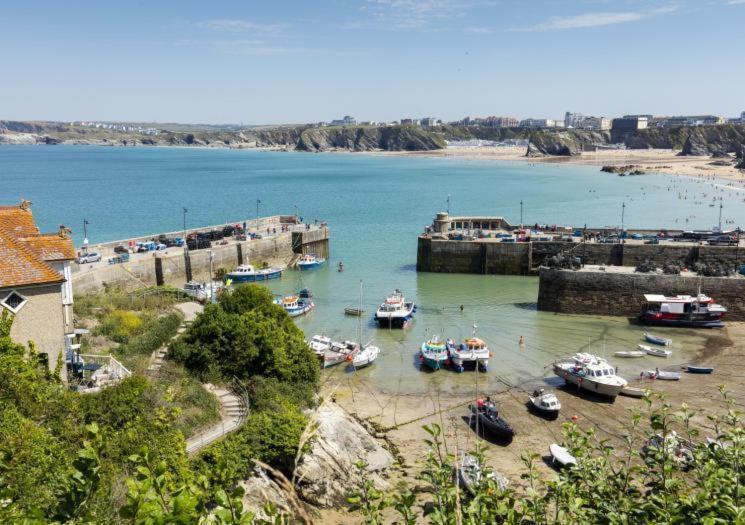 Atlantic Reach Cottages, Newquay 6 Miles, 2 Bedrooms Eksteriør bilde